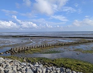 Unterkunft 0401163 - Appartement Ameland - Finn Lodge