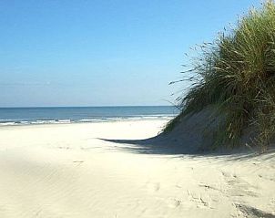 Unterkunft 040121 - Ferienhaus Ameland - 215247