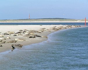 Verblijf 040130 - Vakantiewoning Ameland - 293562