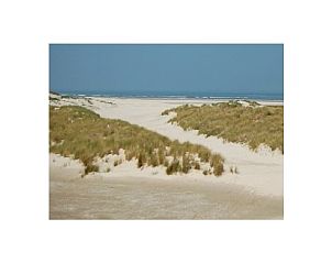 Verblijf 040130 - Vakantiewoning Ameland - 293562