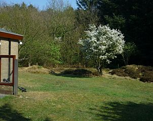 Green surroundings of Thuishaven bungalow in Ballum, Ameland, with blooming nature.