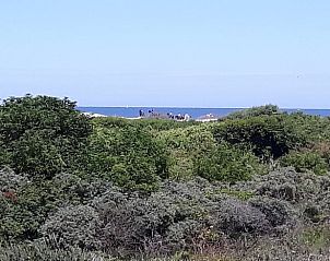 Groene omgeving rondom Vakantiehuisje in Hollum op Ameland, perfect voor natuurliefhebbers en wandelingen.