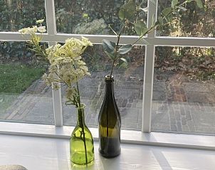 Ramen met bloemen in Beppe van Ameland vakantiehuis, Hollum.