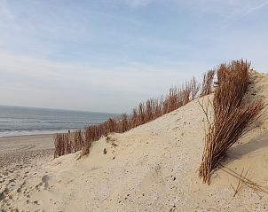 Verblijf 0403123 - Vakantiewoning Ameland - Golfvilla 40 Comfort