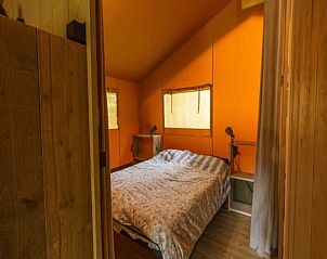 Guest house 0403125 - Holiday property Ameland - Luxe safaritent op Ameland