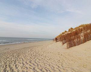 Guest house 0403125 - Holiday property Ameland - Luxe safaritent op Ameland