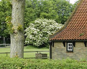 Die natrliche Umgebung des Ferienhauses Kiewiet Ameland in Hollum bietet Ruhe und Privatsphre, umgeben von grnen Bumen und einem blhenden Garten.