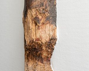 Verblijf 0403196 - Appartement Ameland - Hooivak