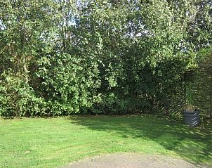 Groene tuin bij Duyngolf 71, vakantiehuis in Hollum Ameland, omringd door weelderige begroeiing.