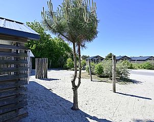 Prachtige omgeving rond de vrijstaande woning in Hollum, Ameland, met veel groen en rust.