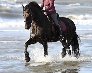 Verblijf 0403232 - Vakantiewoning Ameland - huisje WELTEVREE