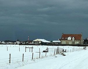 Verblijf 0403232 - Vakantiewoning Ameland - huisje WELTEVREE