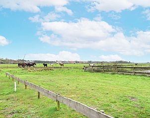 Uitzicht op weilanden nabij Vrijstaande woning in Hollum, Ameland, met grazende paarden.