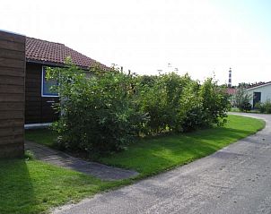 Green surroundings around bungalow Kleefkruid, Hollum, Ameland with hiking trails.