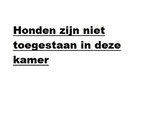 Honden zijn niet toegestaan in De Berkenhof Aparthotel, Nes, Ameland, voor een rustige omgeving.