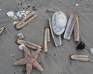 Verblijf 040705 - Stacaravan Ameland - Chalet Zeester