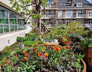 Verblijf 046830 - Vakantie appartement Noordzeekust - Court Garden Hotel - Ecodesigned