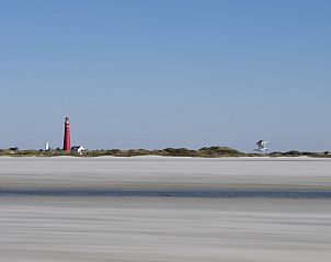 Guest house 050132 - Holiday property Schiermonnikoog - Klaver Vier