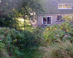 Groene omgeving van Louwtjesduin Oost vakantiehuis op Schiermonnikoog.