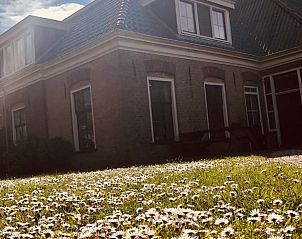 Bloemenweide bij Huisje in Schiermonnikoog, vakantieverblijf in Schiermonnikoog, Waddeneilanden.