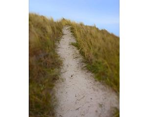 Zandpad door de duinen nabij Vakantiehuis in Schiermonnikoog, Schiermonnikoog, Waddeneilanden.