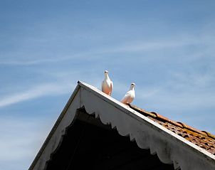 Unterkunft 060721 - Ferienhaus IJsselmeer - Huisje in Lemmer