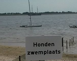 Verblijf 060747 - Bungalow Friese elfsteden - Strandbungalow P- 4-6