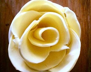 Verblijf 067101 - Appartement Rijk van Nijmegen - Bed&Brood Comon