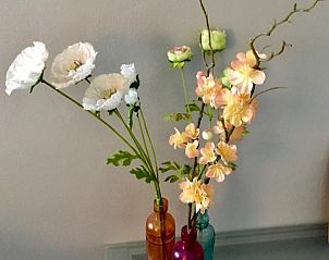 Verblijf 067101 - Appartement Rijk van Nijmegen - Bed&Brood Comon