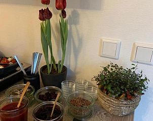 Guest house 076219 - Bed and Breakfast Walcheren - B&B Witvliet, kamers en studio met heerlijk ontbijt !