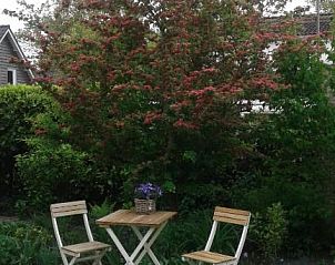 Guest house 076219 - Bed and Breakfast Walcheren - B&B Witvliet, kamers en studio met heerlijk ontbijt !