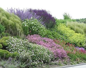 Guest house 076220 - Bed and Breakfast Walcheren - Duinvilla Aan de Zee B&B