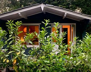 Guest house 080309 • Holiday property Fluessen • Vakantiehuis in Elahuizen 