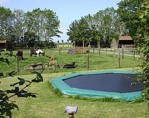 Dieren en trampoline bij Vakantiehuis in It Heidenskip, ideaal voor gezinnen in de Friese meren.