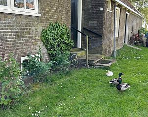 Rustieke entree van vakantiehuis in Gaastmeer, omgeven door natuur en levendige eenden in de Friese meren.