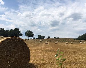 Landelijk landschap met hooibalen nabij vakantiehuis Gaastmeer, een serene omgeving in de Friese meren.