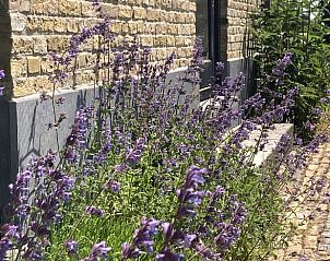 Verblijf 080635 - Vakantiewoning Fluessen - Vakantiehuis in Gaastmeer