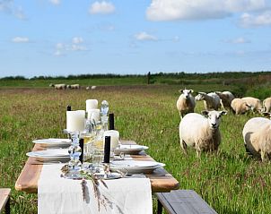 Buiten dineren met schapen in de omgeving van Huisje in Oudega SWF, vakantiehuis in de Friese meren.