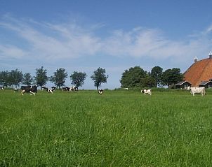 Weids uitzicht vanaf Huisje in Nijhuizum vakantieaccommodatie in Fluessen, Friesland.