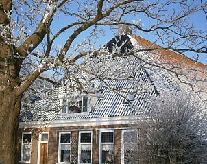 Vakantiehuis Mts. J. en A. Faber-Breeuwsma in Wyckel, Friesland, onder besneeuwde bomen in winter.