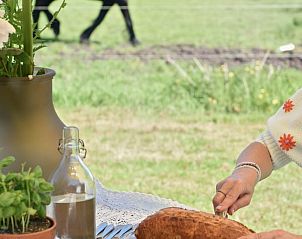 Guest house 100114 - Holiday property Tjeukemeer - Vakantiehuisje in Echtenerbrug