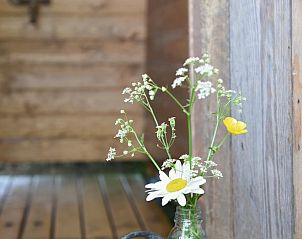 Guest house 100114 - Holiday property Tjeukemeer - Vakantiehuisje in Echtenerbrug