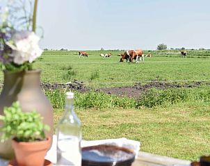 Guest house 100115 - Holiday property Tjeukemeer - Vakantiehuis in Echtenerbrug