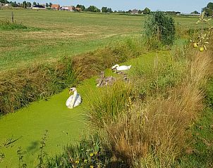 Unterkunft 100125 - Ferienhaus Tjeukemeer - Vakantiehuis in Echtenerbrug
