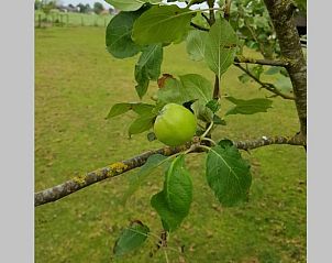 Unterkunft 100125 - Ferienhaus Tjeukemeer - Vakantiehuis in Echtenerbrug