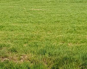 Unterkunft 100125 - Ferienhaus Tjeukemeer - Vakantiehuis in Echtenerbrug