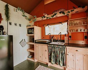 Verblijf 100223 - Vakantiewoning Tjeukemeer - Vakantiehuis Kampari - Luxe Safaritent - De Jungle