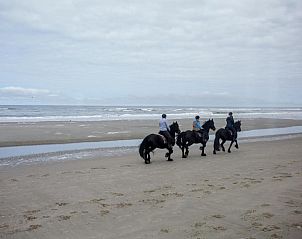 Verblijf 100301 - Vakantie appartement Terschelling - Appartementenhotel Tjermelân Terschelling