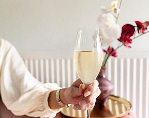 Verblijf 104923 - Vakantie appartement Noord-Holland midden - Wolf Hotel Kitchen & Bar