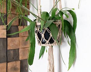 Verblijf 104923 - Vakantie appartement Noord-Holland midden - Wolf Hotel Kitchen & Bar